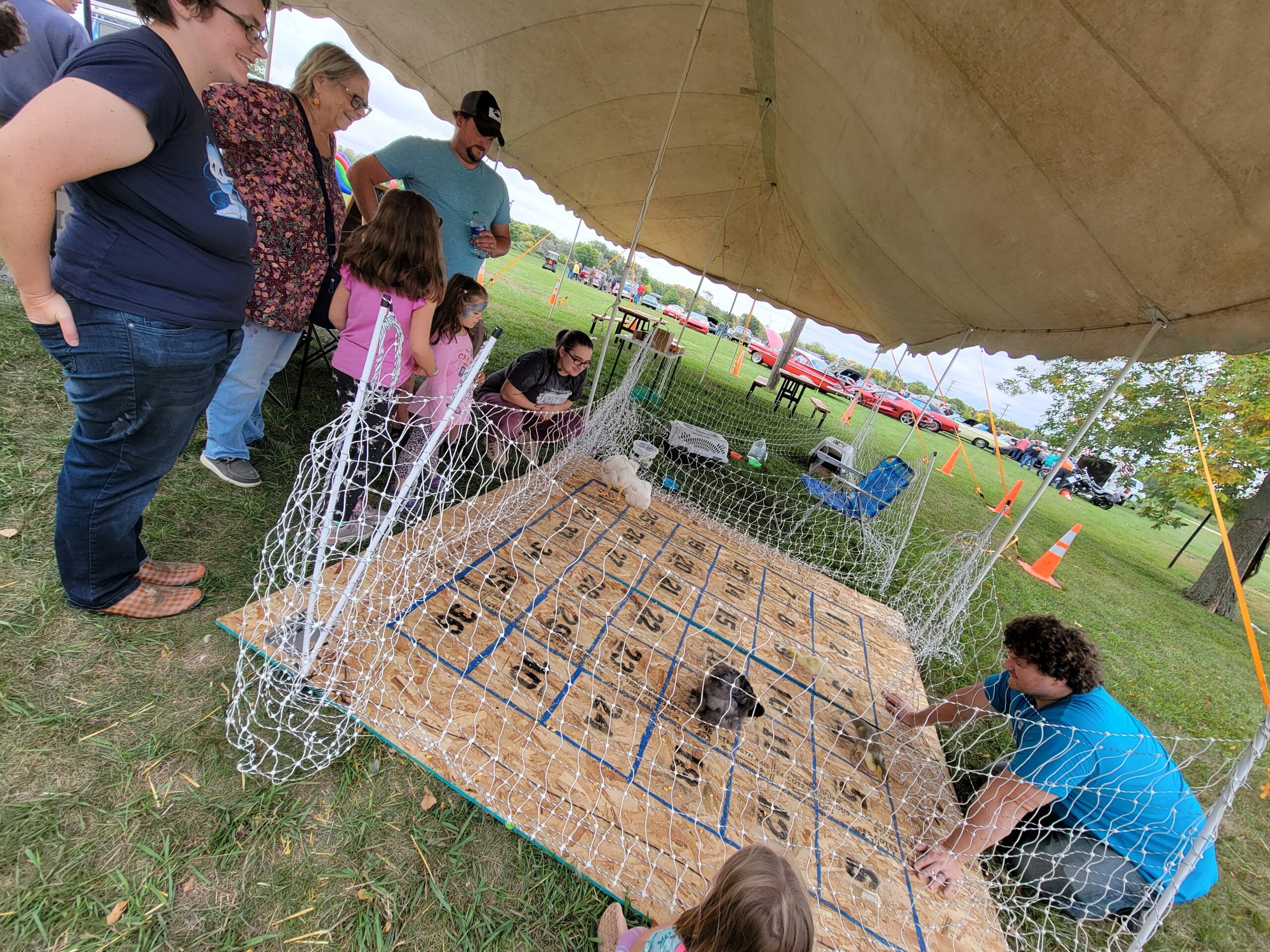Chicken Poop Bingo at the Prairie Harvest Fest in Morris MN