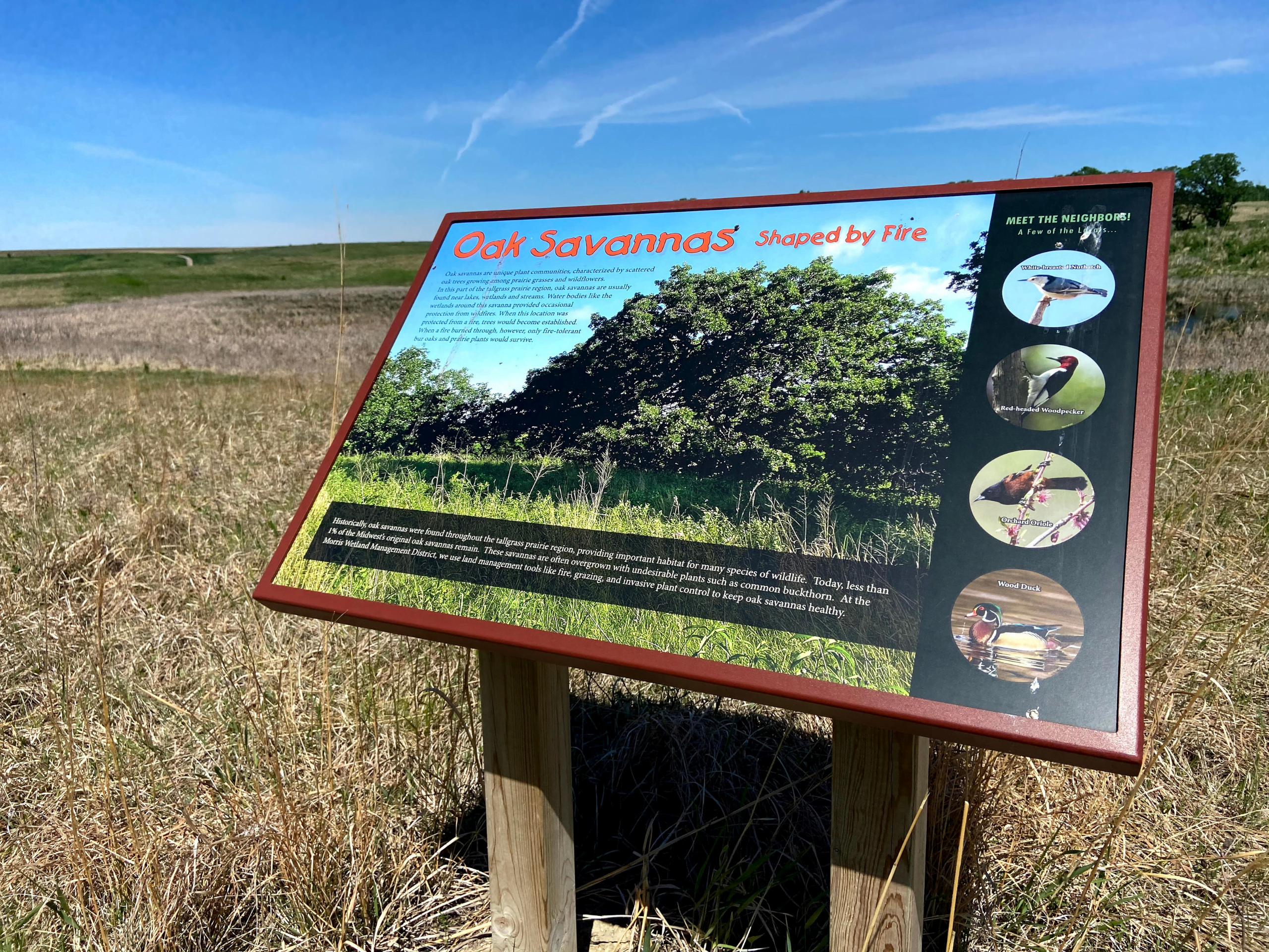 Copy of Morris-Mural