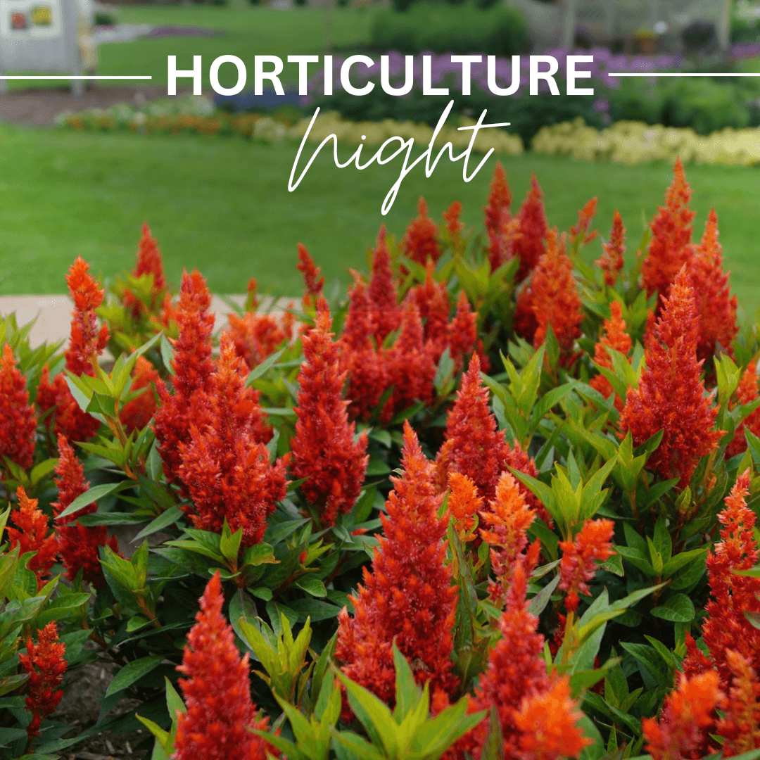 Horticulture Night-Facebook Network Ads (4) 2025 Horticulture Night in Morris MN July 31
