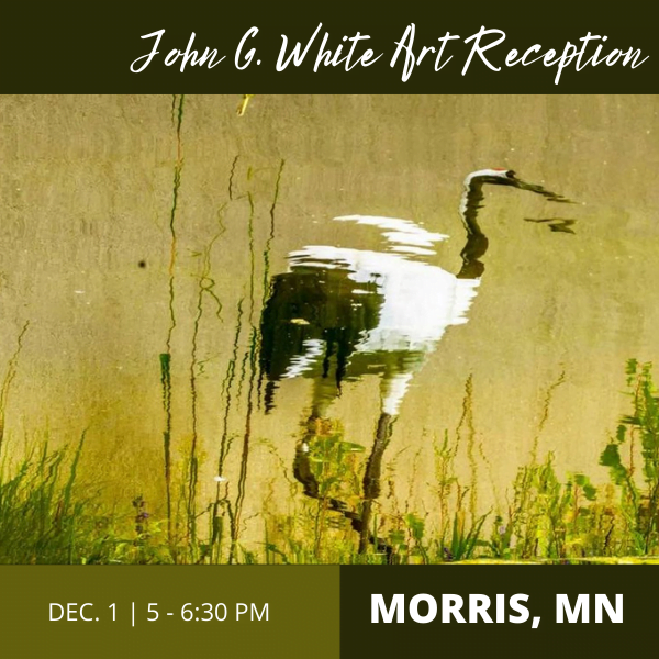 Morris Art Reception-Website