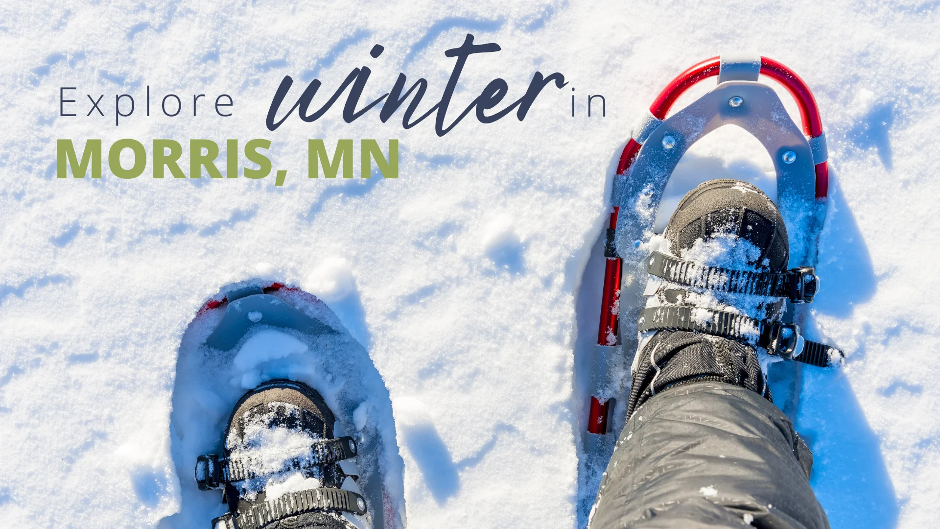 Morris-Embrace Winter Blog Header Morris-Embrace Winter Blog Header