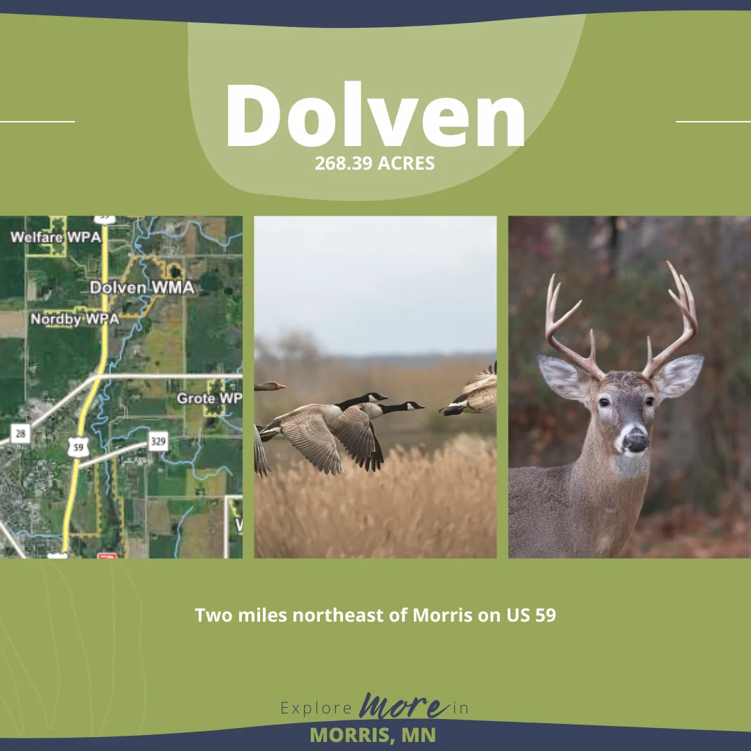 _Morris-Hunting Blog-Dolven (3) _Morris-Hunting Blog-Dolven (3)