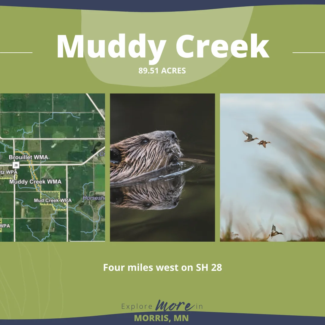Morris-Hunting Blog-Muddy Creek (3) Morris-Hunting Blog-Muddy Creek (3)