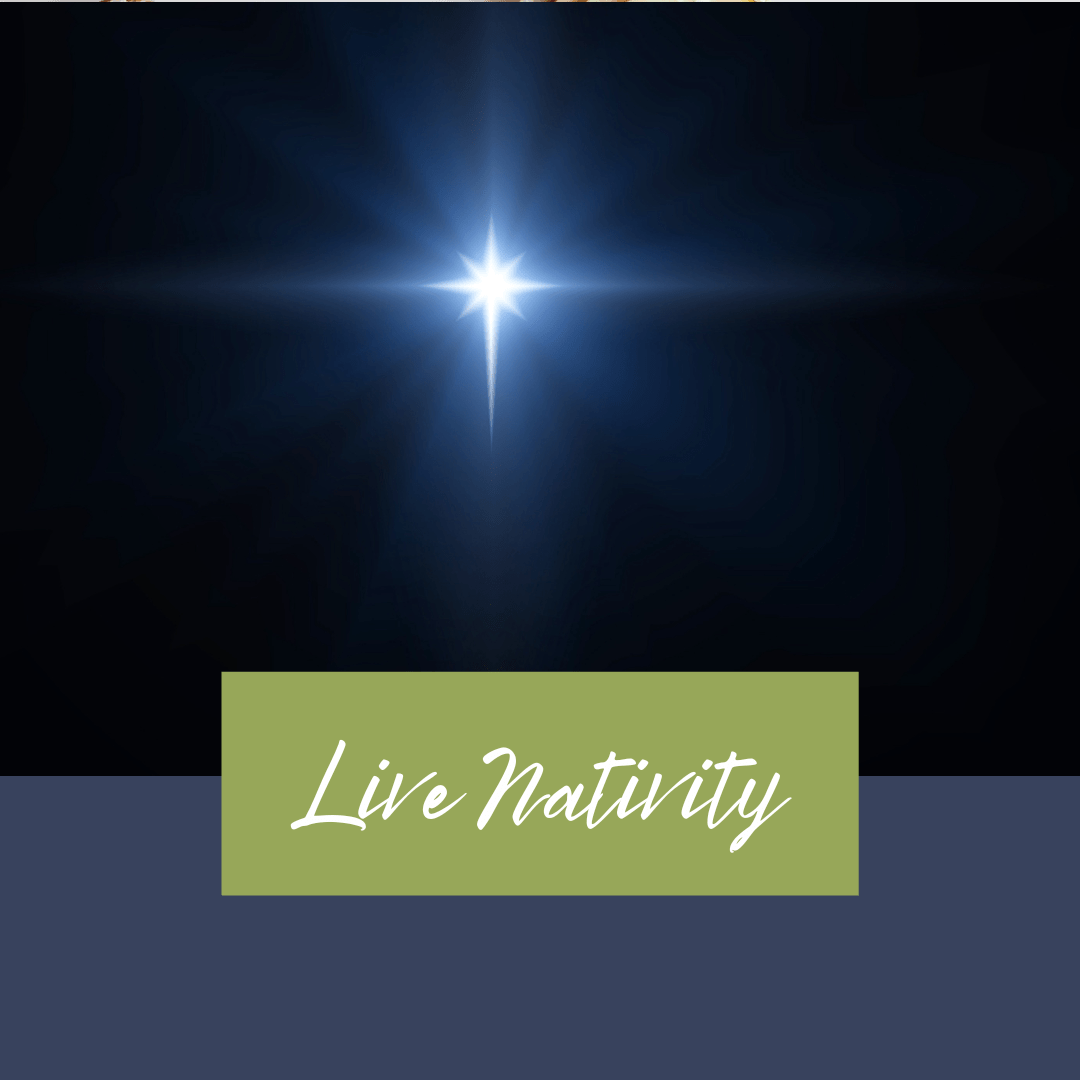 Morris-Live Nativity Morris-Live Nativity