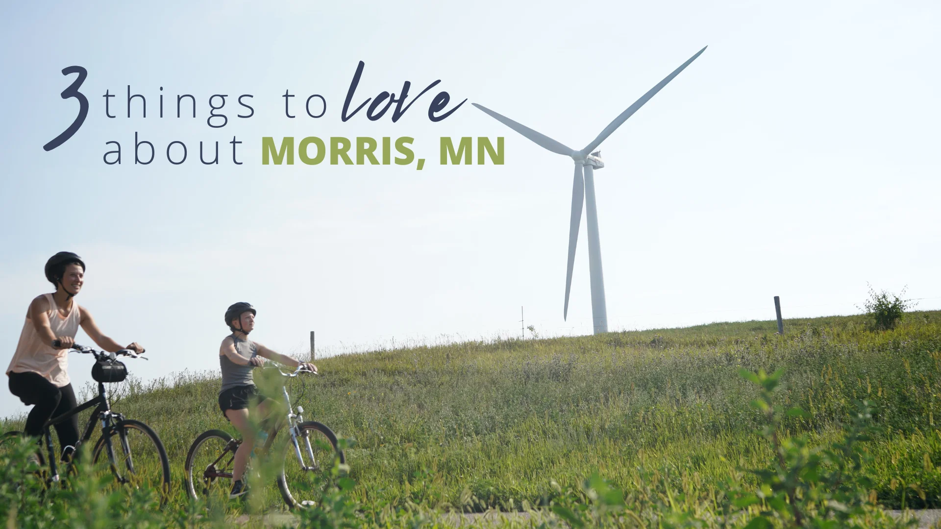 Morris-Three things to love-Blog Header Morris-Three things to love-Blog Header