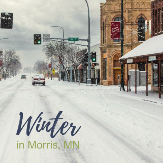 Winter in Morris, MN