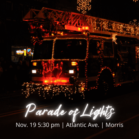 parade of lights (2)